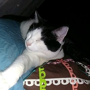 Meet your Posher, Michaela